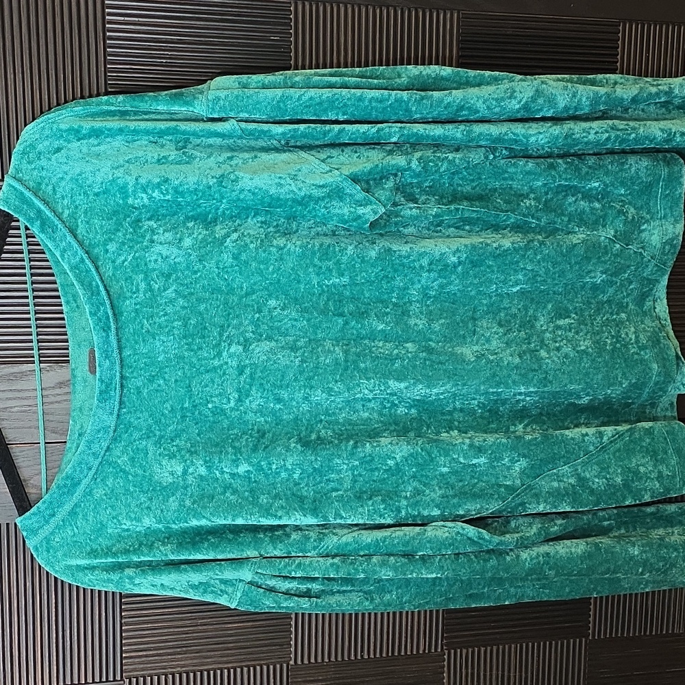 Free People We The Free Milan Sea Greeen Velvet Top